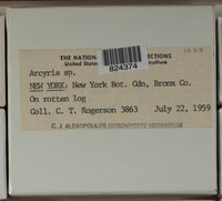 Image Associated With the Occurence